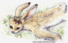 Anthro' Snowshoe Hare lying in the grass