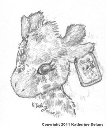 Pencil drawing of a Giraffe with a rectangular metal eartag that has a portrait of the giraffe