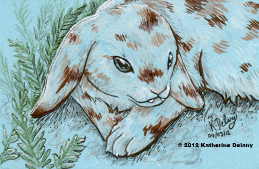 Brown and cream-patched rabbit, greyish eyes, lying beside small green ferns
