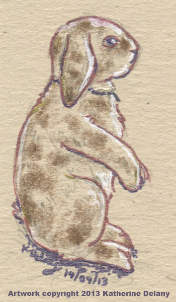 Lop-eared rabbit, tan with reddish brown spots and white edging, sitting up.