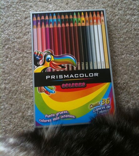 Prismacolor Colores box with white and grey-brown fur against lighter grey carpet